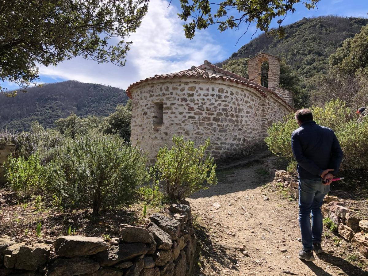 Villa Bonheur Vallespir Ceret Luaran gambar