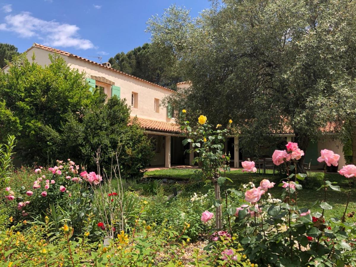 Villa Bonheur Vallespir Ceret Luaran gambar