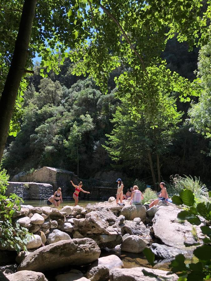 Villa Bonheur Vallespir Ceret Luaran gambar