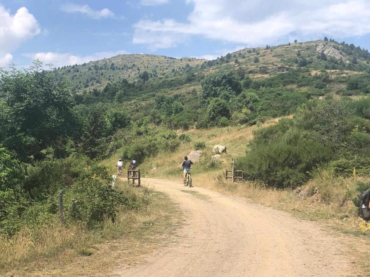 Villa Bonheur Vallespir Ceret Luaran gambar