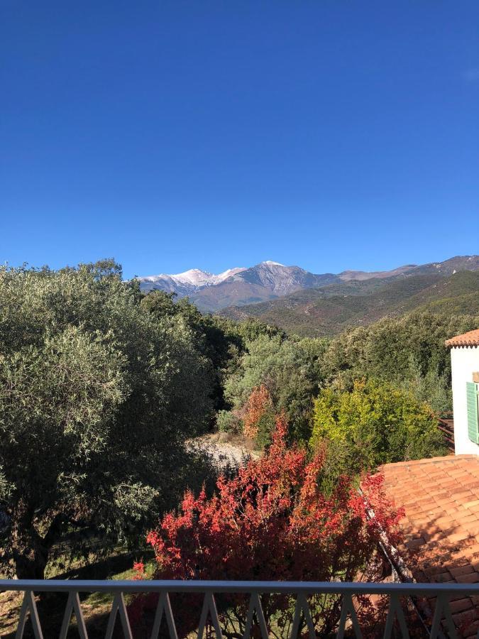 Villa Bonheur Vallespir Ceret Luaran gambar