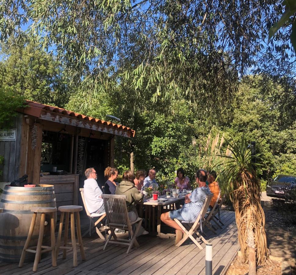 Villa Bonheur Vallespir Ceret Luaran gambar