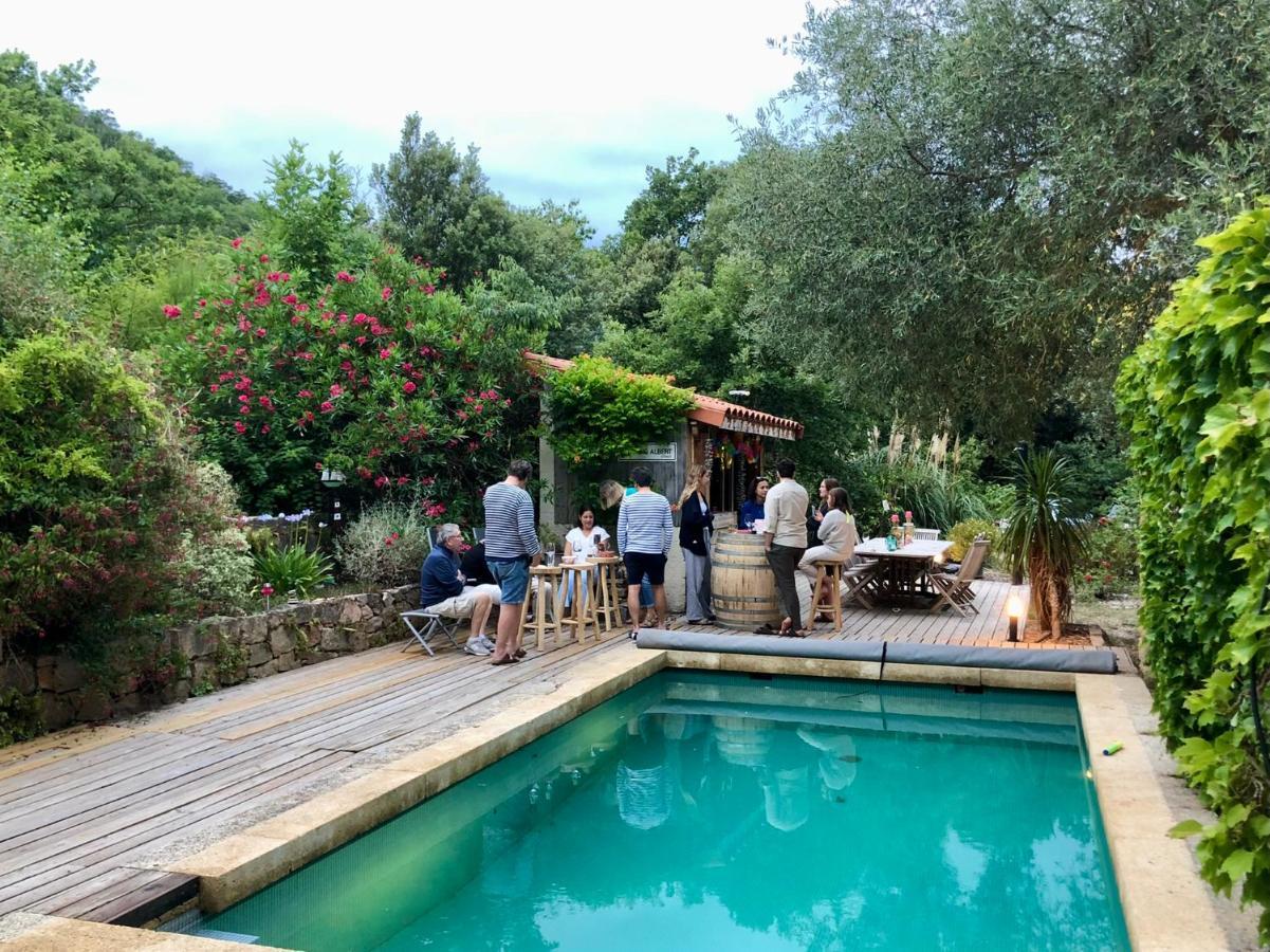 Villa Bonheur Vallespir Ceret Luaran gambar