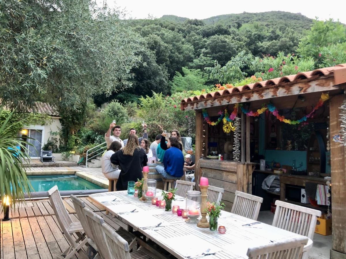 Villa Bonheur Vallespir Ceret Luaran gambar
