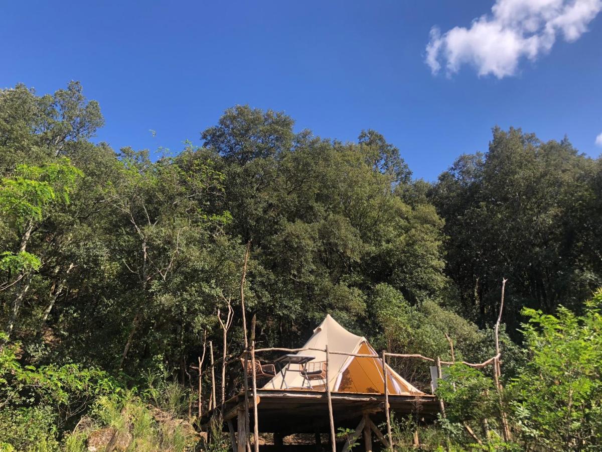 Villa Bonheur Vallespir Ceret Luaran gambar