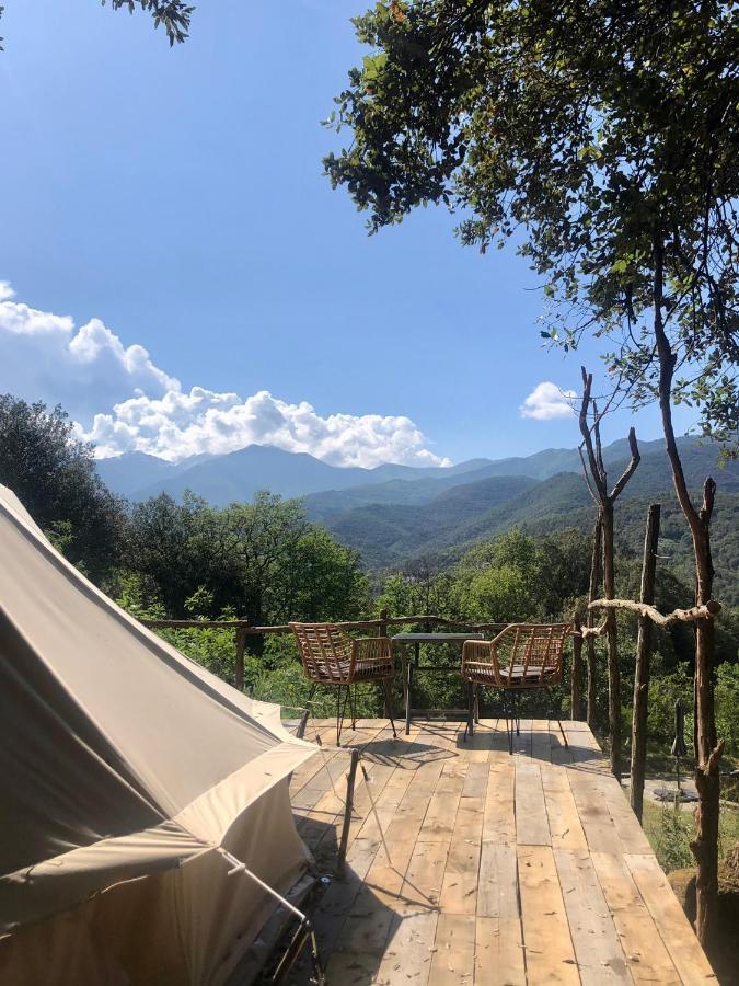 Villa Bonheur Vallespir Ceret Luaran gambar