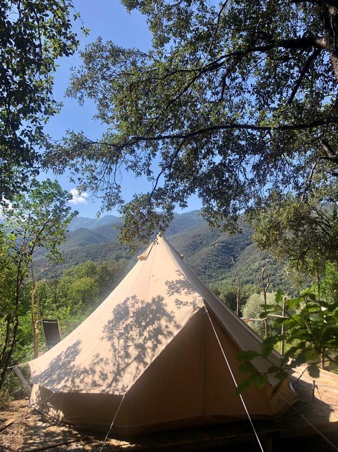 Villa Bonheur Vallespir Ceret Luaran gambar