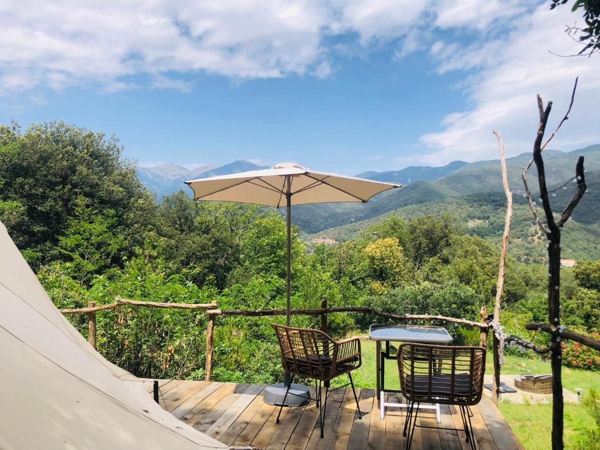 Villa Bonheur Vallespir Ceret Luaran gambar